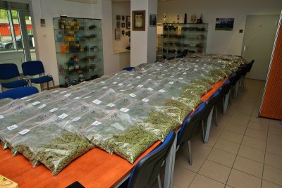 przechwycona marihuana 