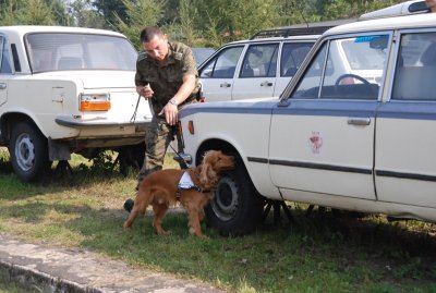 pies służbowy z przewodnikiem 
