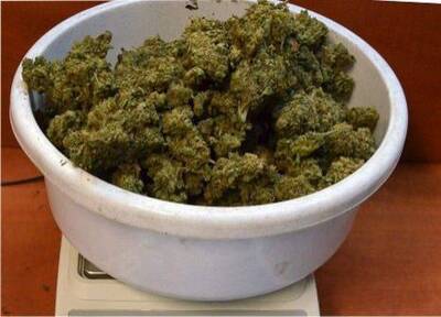 marihuana 