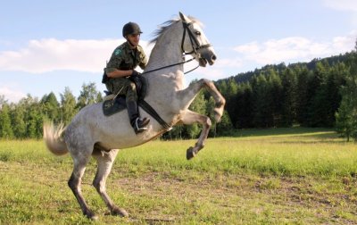 koń służbowy SG 