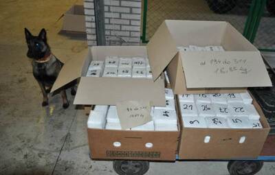 zabezpieczone narkotyki