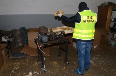 nielegalna krajalnia tytoniu 