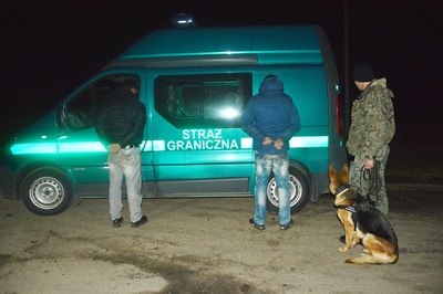 zatrzymanie nielegalnych migrantów