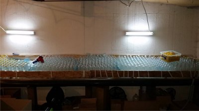 linia produkcyjna alkoholu 