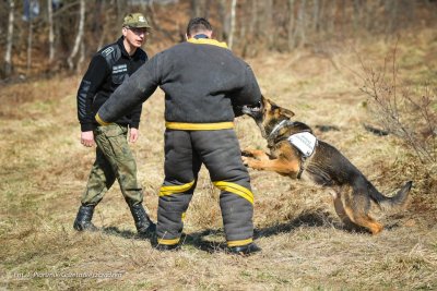 szkolenie funkcjonariuszy BiOSG i GOPR 