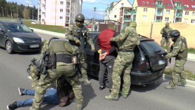 Aresztowni za sutenerstwo i stręczycielstwo 