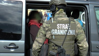 Aresztowni za sutenerstwo i stręczycielstwo 