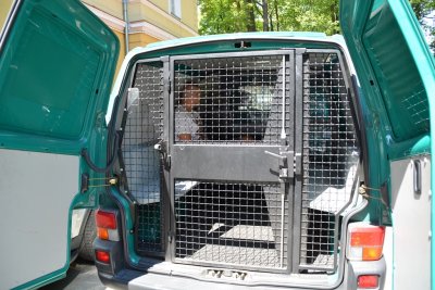 zatrzymanie członków grupy przestępczej 