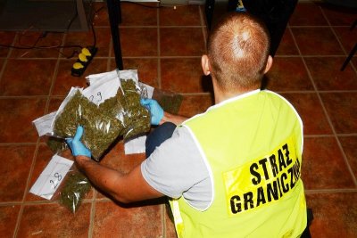 ujawniona marihuana 