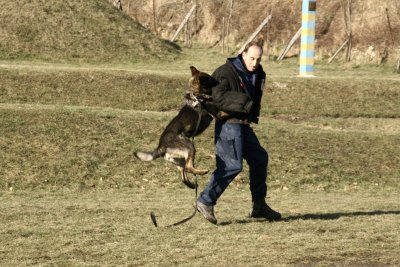 psy służbowe w Ośrodku Szkoleń Specjalistycznych SG 