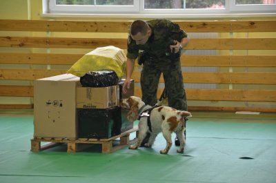psy służbowe w Ośrodku Szkoleń Specjalistycznych SG 