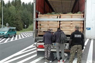 zatrzymani imigranci z Afganistanu 