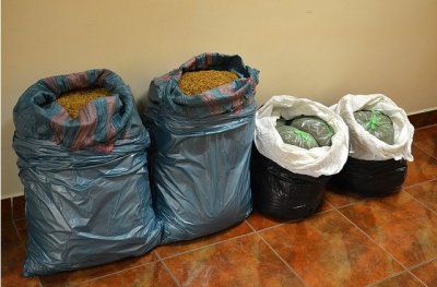 krajanka tytoniowa zabezpieczona przez funkcjonariuszy W-MOSG 