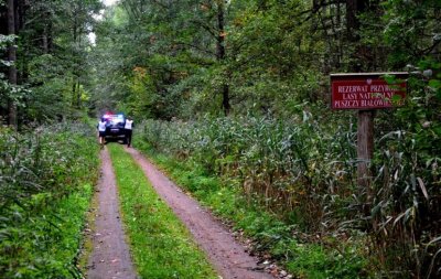 Białowieża. "Są drogi, którymi nikt prawie nie chodzi". (Podlaski OSG, 23.09.2018 ok. g. 16.00)