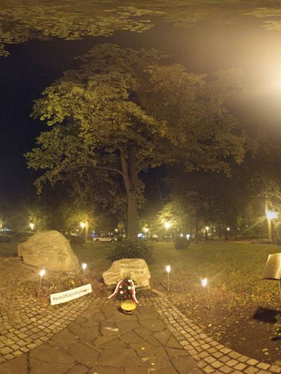 Nowy Sącz. Dąb Wolności spontanicznie posadzony przez mieszkańców miasta w listopadzie 1918 roku. (Karpacki OSG, 28.09.2018 ok. g. 1.30)