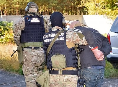 likwidacja plantacji konopi przez funkcjonariuszy Nadodrzańskiego OSG 