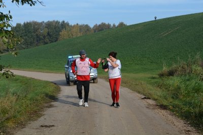 Kompocie. Choć światło słońca jest "anemiczne", to i tak od razu robi się radośniej. (Podlaski OSG, 10.10.2018 ok. g. 9.00)