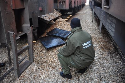 Dwie próby przemytu papierosów w transportach trocin 