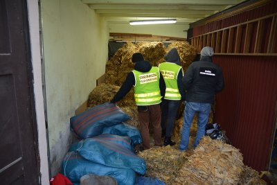Krajanka tytoniowa i papierosy o wartości 5,5 mln zł oraz 2,3 mln zł w gotówce 