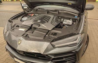 zabezpieczone lamborgini 