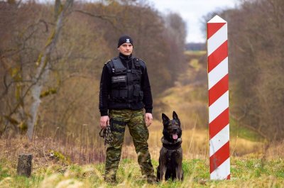 psy służbowe Straży Granicznej 