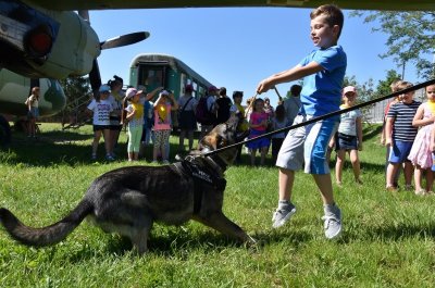 psy służbowe Straży Granicznej 