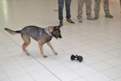 taktyczny robot miotany (TRM) 