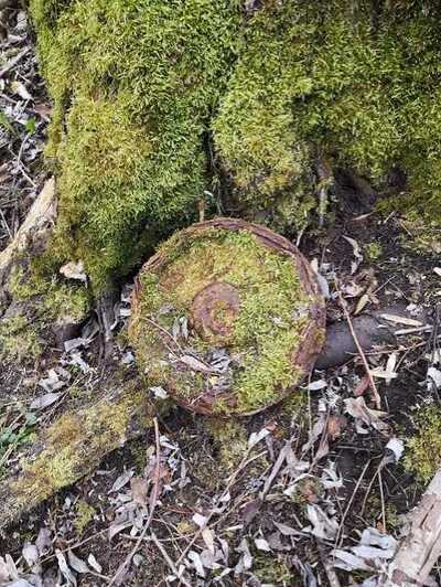 znaleziona mina z okresu II wojny światowej 