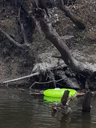 Dmuchaniec porzucony na brzegu Bugu 
