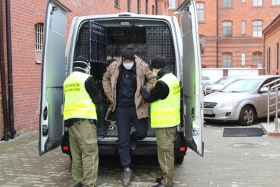 Nielegalni imigranci w transporcie świątecznych choinek 