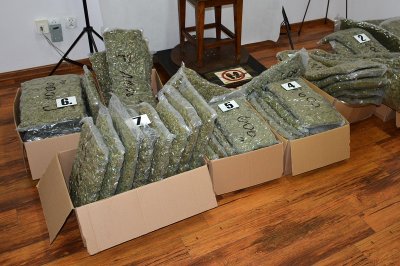 Przemyt ponad 50 kilogramów marihuany
