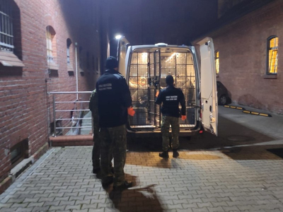 Ujawnienie nielegalnych migrantów 