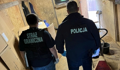 Ujawniona krajanka tytoniowa 