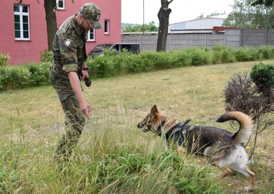 Przewodnik z psem służbowym w trakcie szkolenia w OSS SG w Lubaniu 