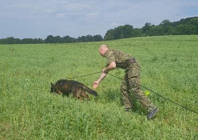 Przewodnik z psem służbowym w trakcie szkolenia w OSS SG w Lubaniu 
