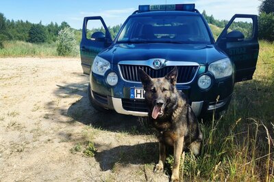 Warmińsko-Mazurski Oddział SG 