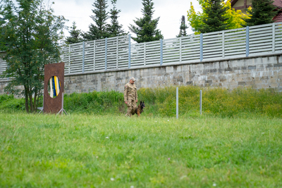 II Międzynarodowe Zawody Kynologiczne Lubań 2023
