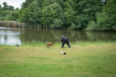 II Międzynarodowe Zawody Kynologiczne Lubań 2023