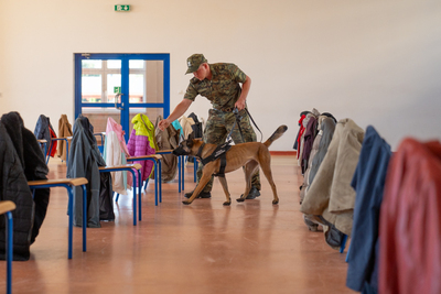 II Międzynarodowe Zawody Kynologiczne Lubań 2023