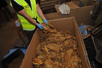 Funkcjonariusz SG zabezpiecza nielegalny towar 