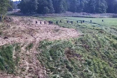 cudzoziemcy nielegalnie przekraczają granicę 
