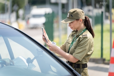 Funkcjonariuszka SG kontrolująca dokumenty 