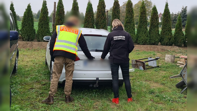 Międzynarodowe działania służb 