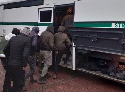 Zatrzymania nielegalnych migrantów 