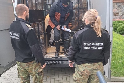 Funkcjonariusze SG zatrzymują cudzoziemców 