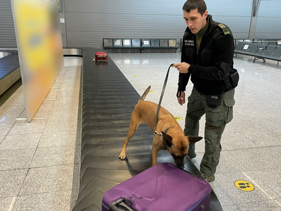 Międzynarodowe szkolenie dla przewodników psów służbowych 