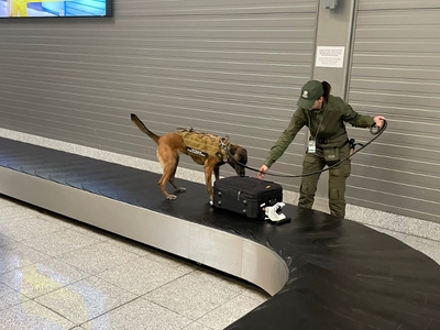 Międzynarodowe szkolenie dla przewodników psów służbowych 