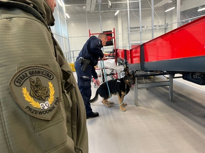 Międzynarodowe szkolenie dla przewodników psów służbowych 