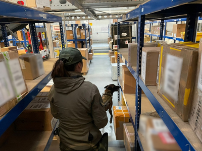 Międzynarodowe szkolenie dla przewodników psów służbowych 