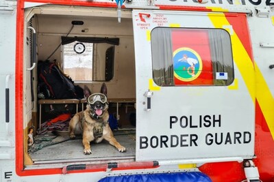 Extreme - czworonożny funkcjonariusz 